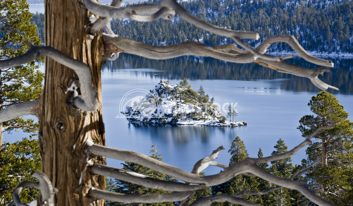 Window to Emerald Bay Stacy White A unique view of Fanette Island in Emerald Bay, Lake Tahoe.  This little island is the